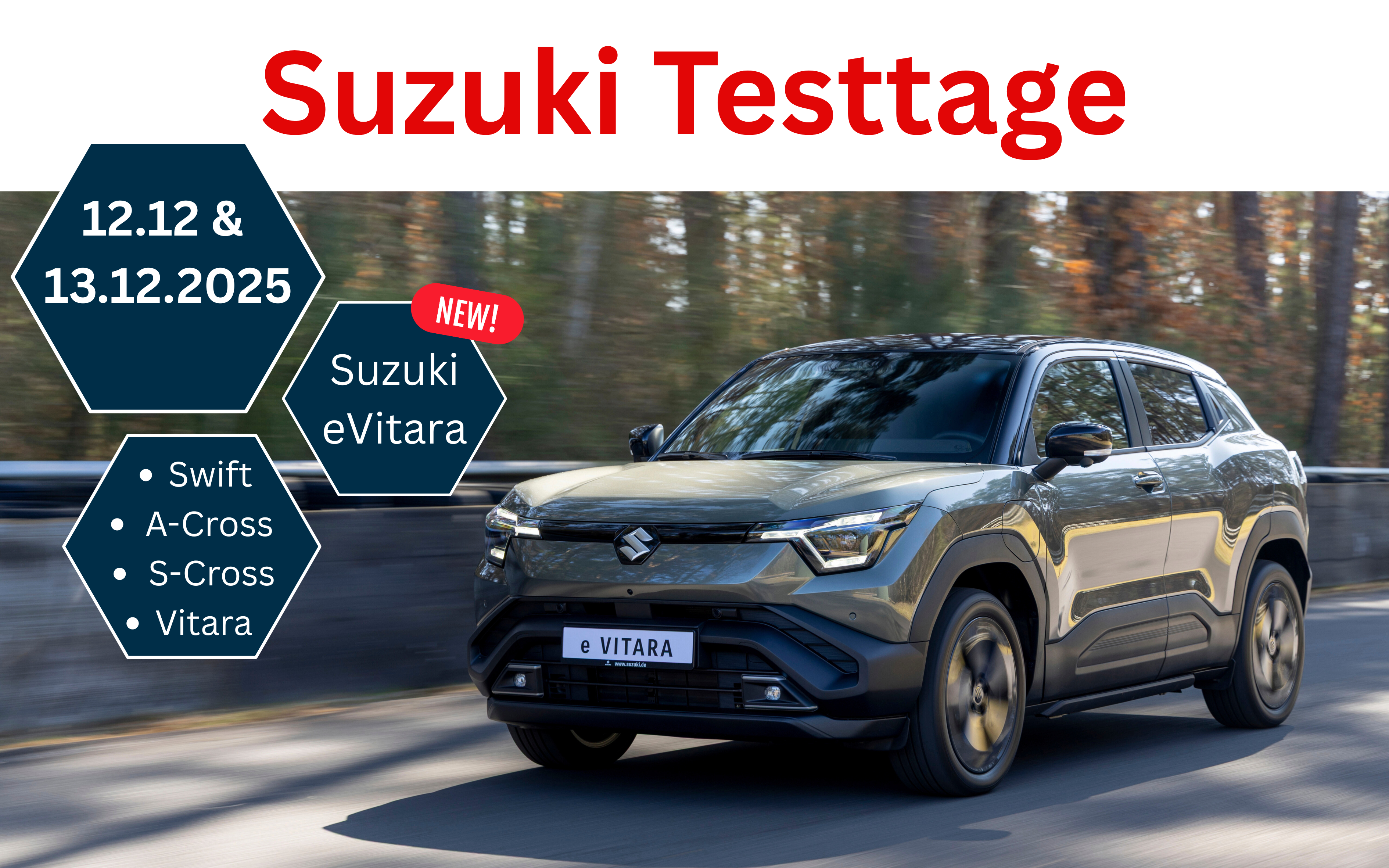Suzuki Testtage (1000 x 625 mm)